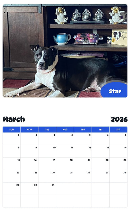November 2025 - October 2026 Star - Pawidols Pet Calendar