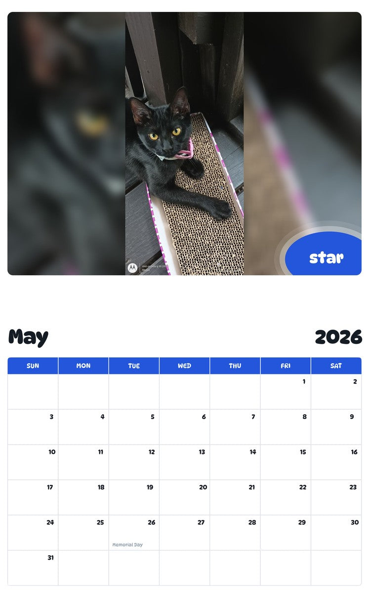 2026 - 2027 star - Pawidols Pet Calendar