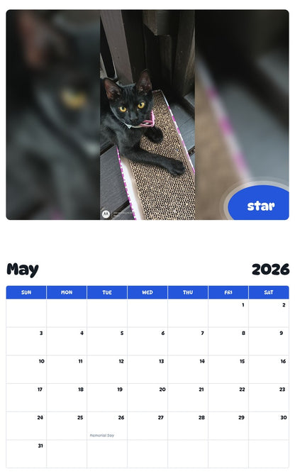 2026 - 2027 star - Pawidols Pet Calendar