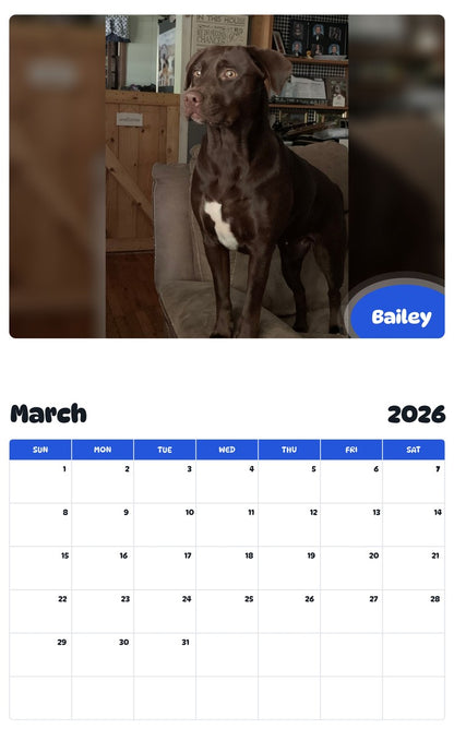 November 2025 - October 2026 Bailey - Pawidols Pet Calendar