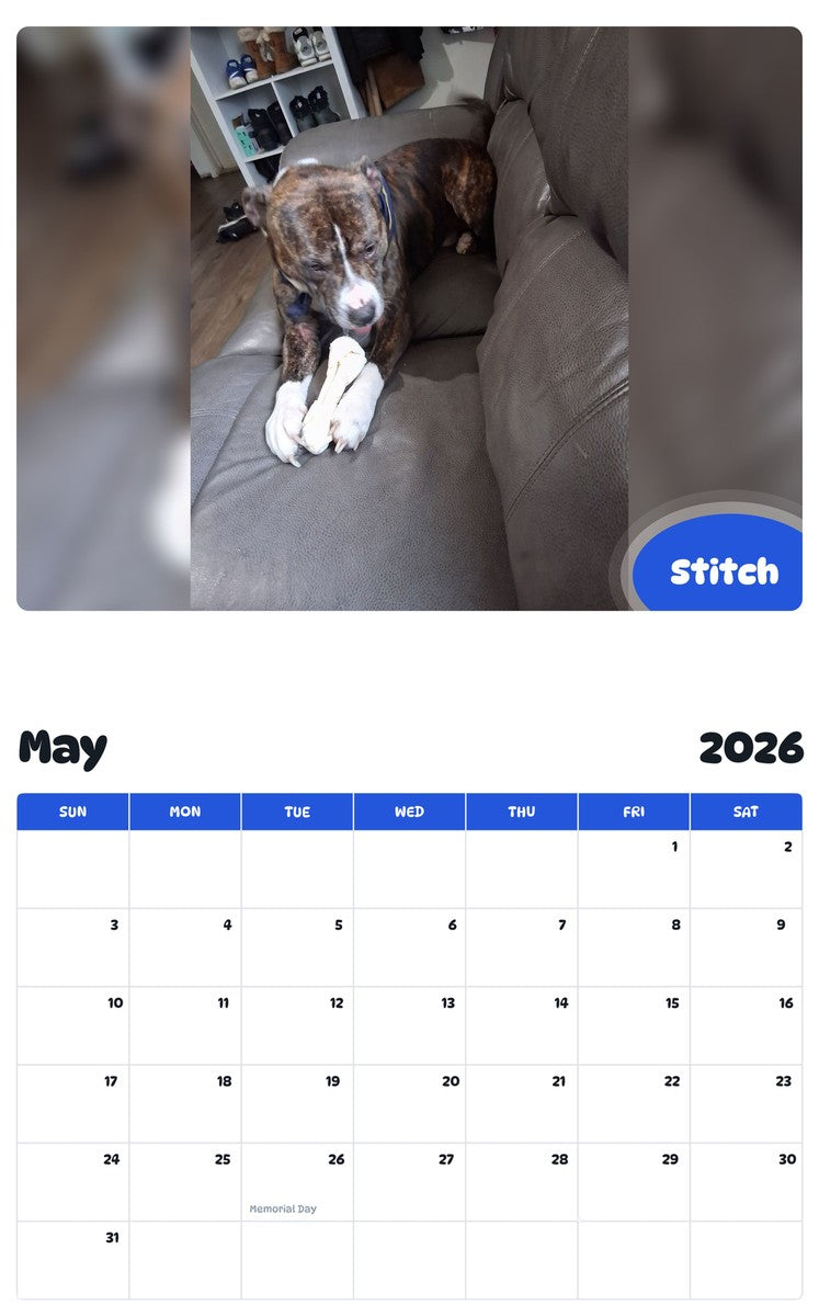 2026 - 2027 Stitch - Pawidols Pet Calendar