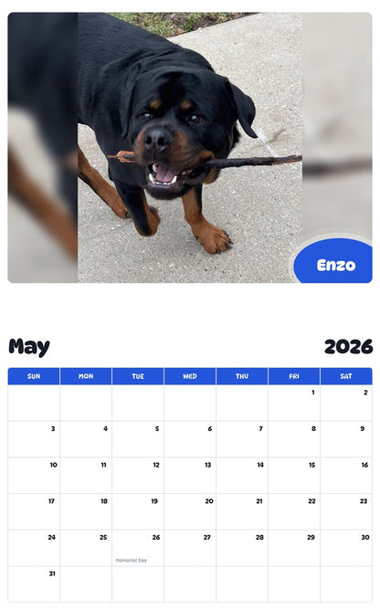 2026 - 2027 Enzo - Pawidols Pet Calendar