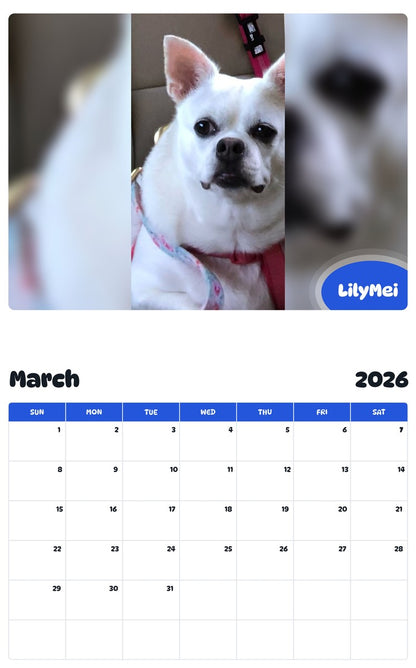 November 2025 - October 2026 LilyMei - Pawidols Pet Calendar