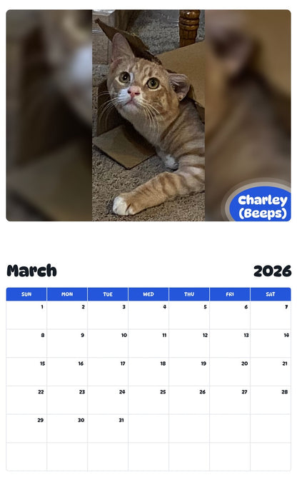 November 2025 - October 2026 Charley (Beeps) - Pawidols Pet Calendar