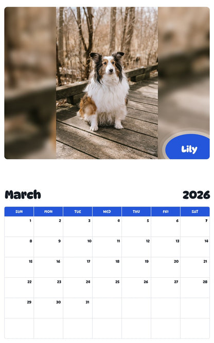 November 2025 - October 2026 Lily - Pawidols Pet Calendar