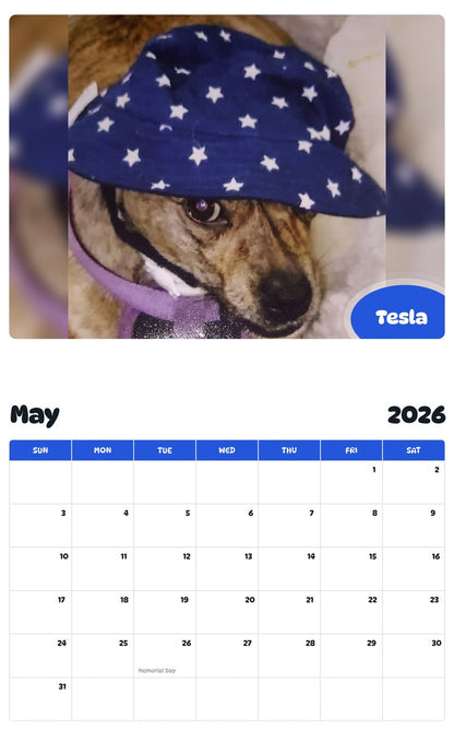 2026 - 2027 Tesla - Pawidols Pet Calendar