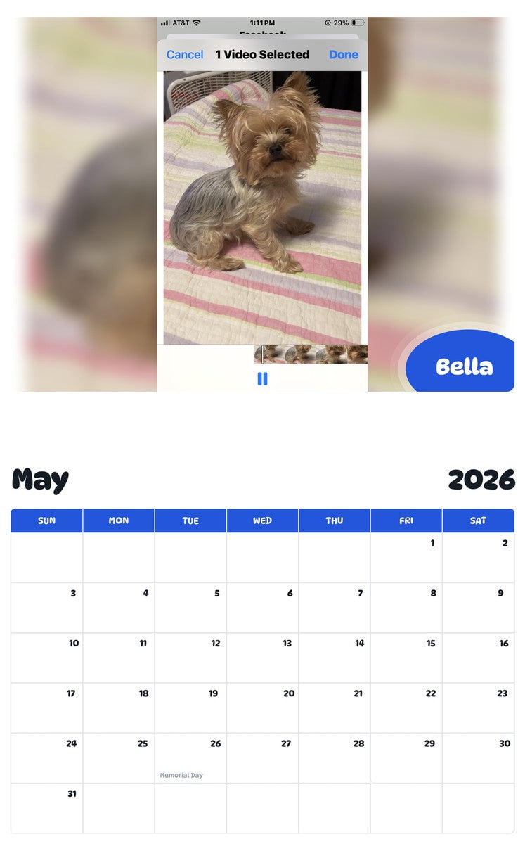 2026 - 2027 Bella - Pawidols Pet Calendar