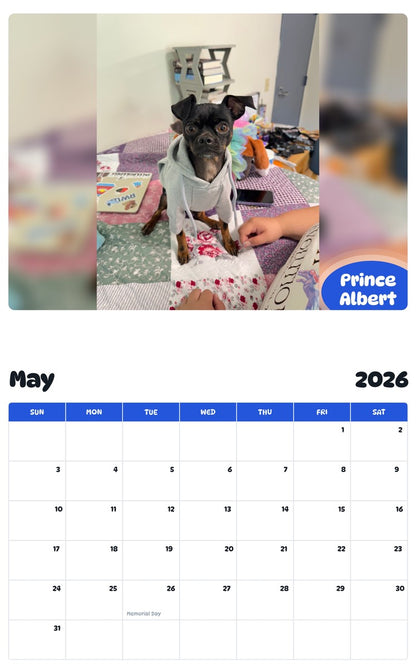 2026 - 2027 Prince Albert - Pawidols Pet Calendar