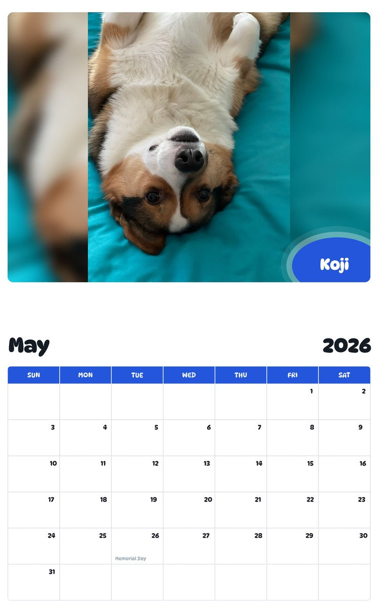 2026 - 2027 Koji - Pawidols Pet Calendar