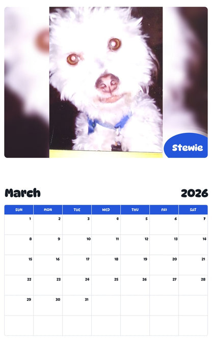 November 2025 - October 2026 Stewie - Pawidols Pet Calendar