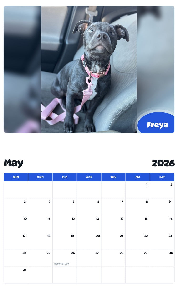 2026 - 2027 Freya - Pawidols Pet Calendar