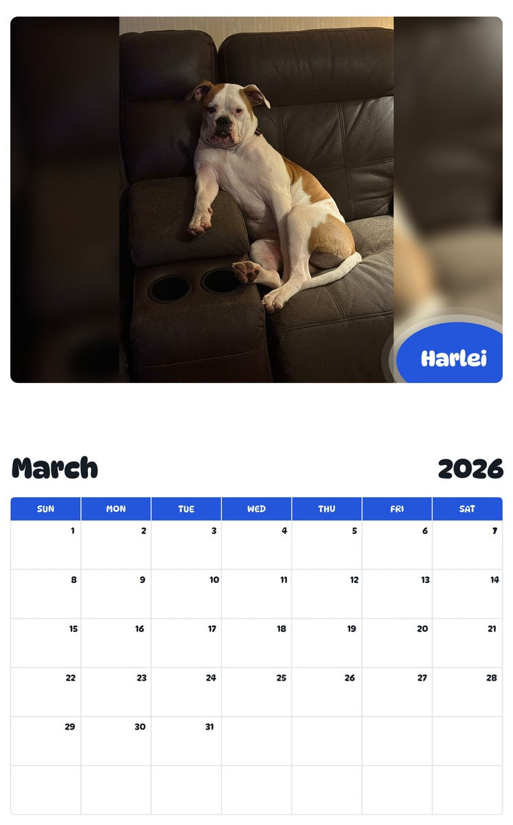 November 2025 - October 2026 Harlei - Pawidols Pet Calendar