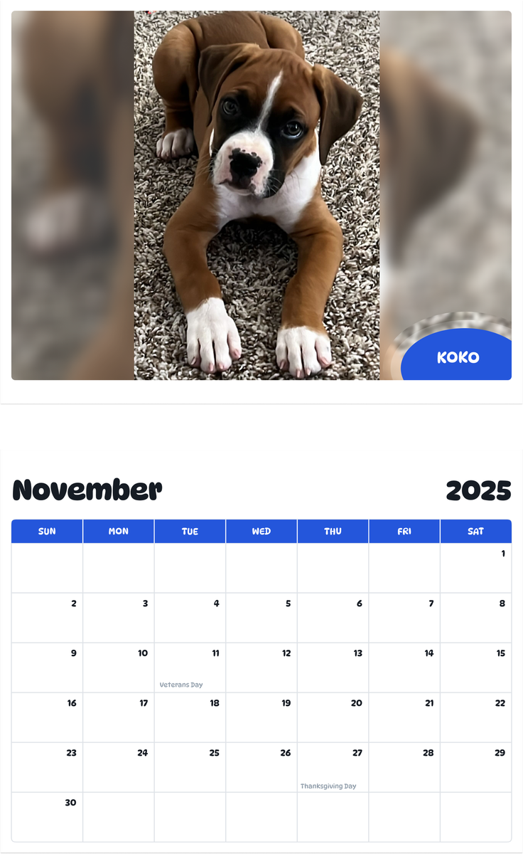 July 2025 - June 2026 KOKO - Pawidols Pet Calendar