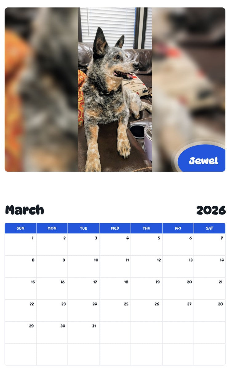 November 2025 - October 2026 Jewel - Pawidols Pet Calendar