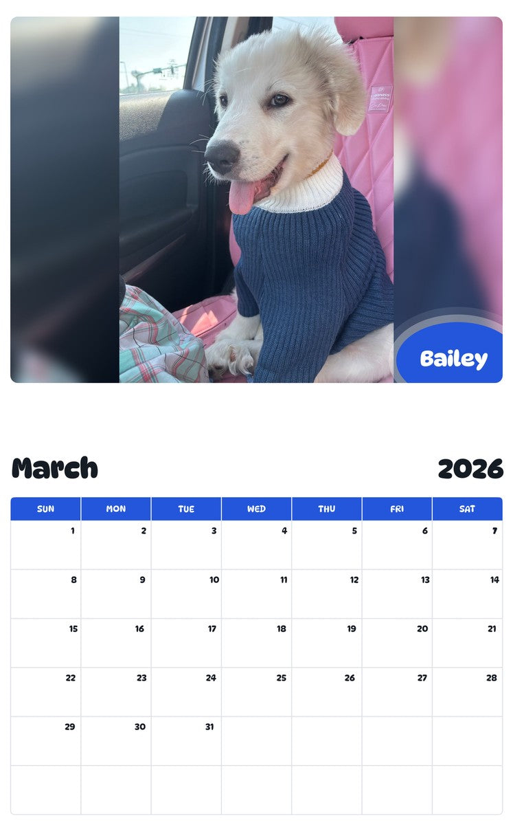 November 2025 - October 2026 Bailey - Pawidols Pet Calendar