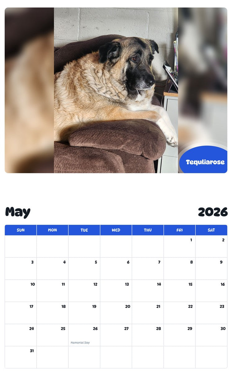 2026 - 2027 Tequliarose - Pawidols Pet Calendar