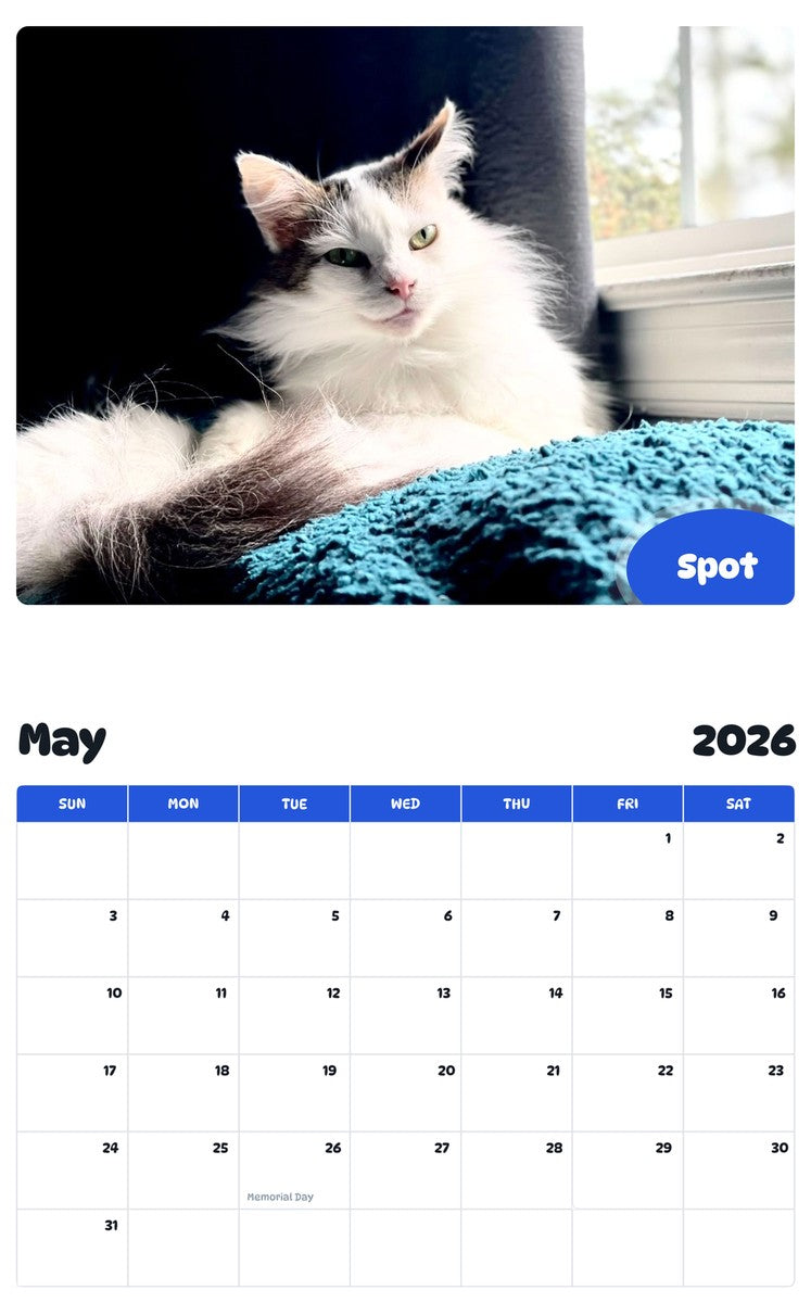 2026 - 2027 Spot - Pawidols Pet Calendar