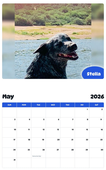 2026 - 2027 Stella - Pawidols Pet Calendar