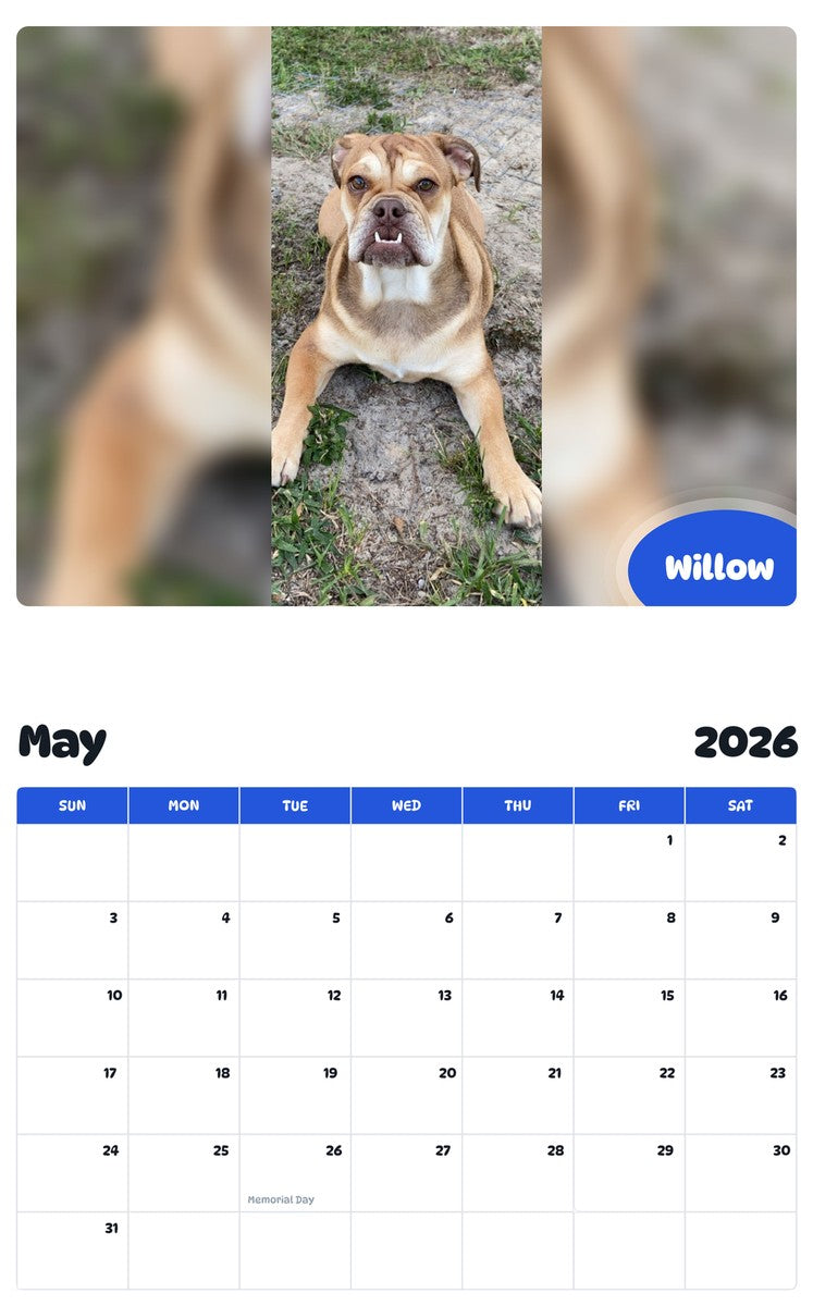 2026 - 2027 Willow - Pawidols Pet Calendar