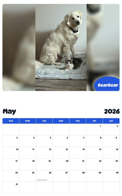 2026 - 2027 BearBear - Pawidols Pet Calendar