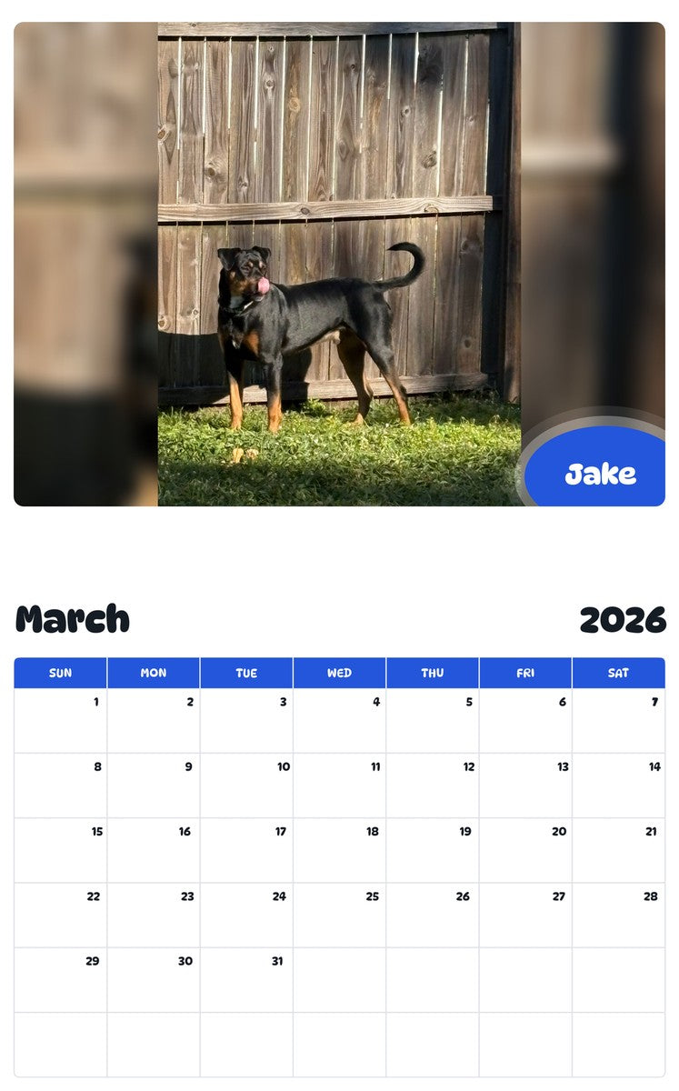 November 2025 - October 2026 Jake - Pawidols Pet Calendar