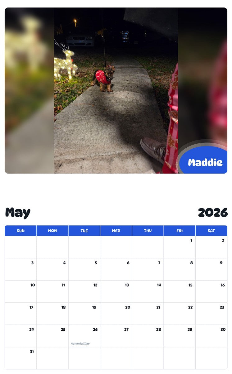 2026 - 2027 Maddie - Pawidols Pet Calendar
