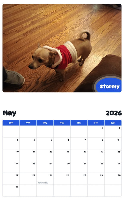 2026 - 2027 Stormy - Pawidols Pet Calendar