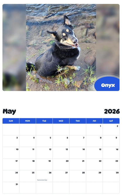 2026 - 2027 Onyx - Pawidols Pet Calendar