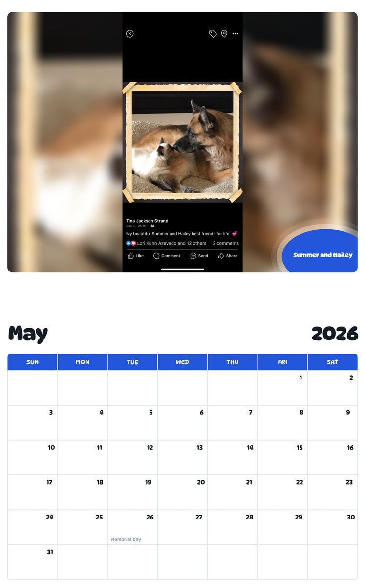 2026 - 2027 Summer and Hailey - Pawidols Pet Calendar