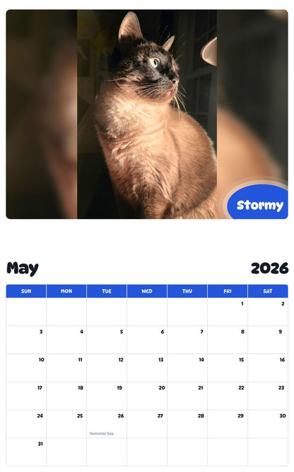 2026 - 2027 Stormy - Pawidols Pet Calendar