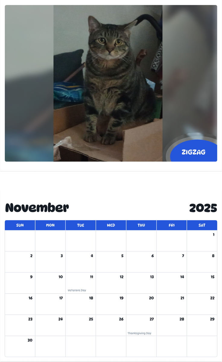 July 2025 - June 2026 Zigzag - Pawidols Pet Calendar