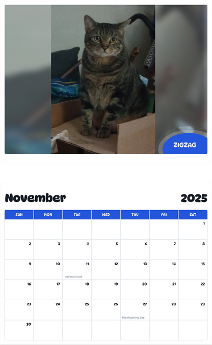July 2025 - June 2026 Zigzag - Pawidols Pet Calendar