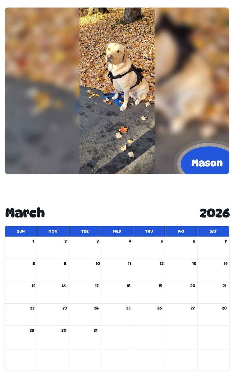 November 2025 - October 2026 Mason - Pawidols Pet Calendar