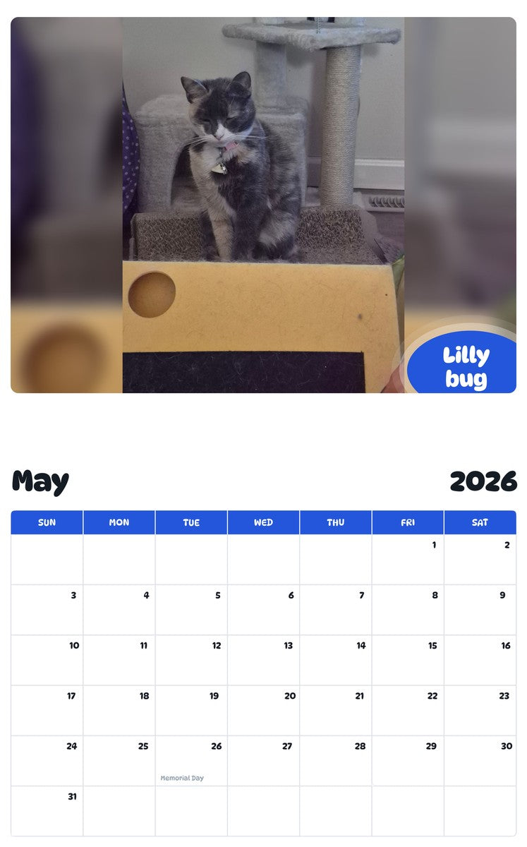 2026 - 2027 Lilly bug - Pawidols Pet Calendar
