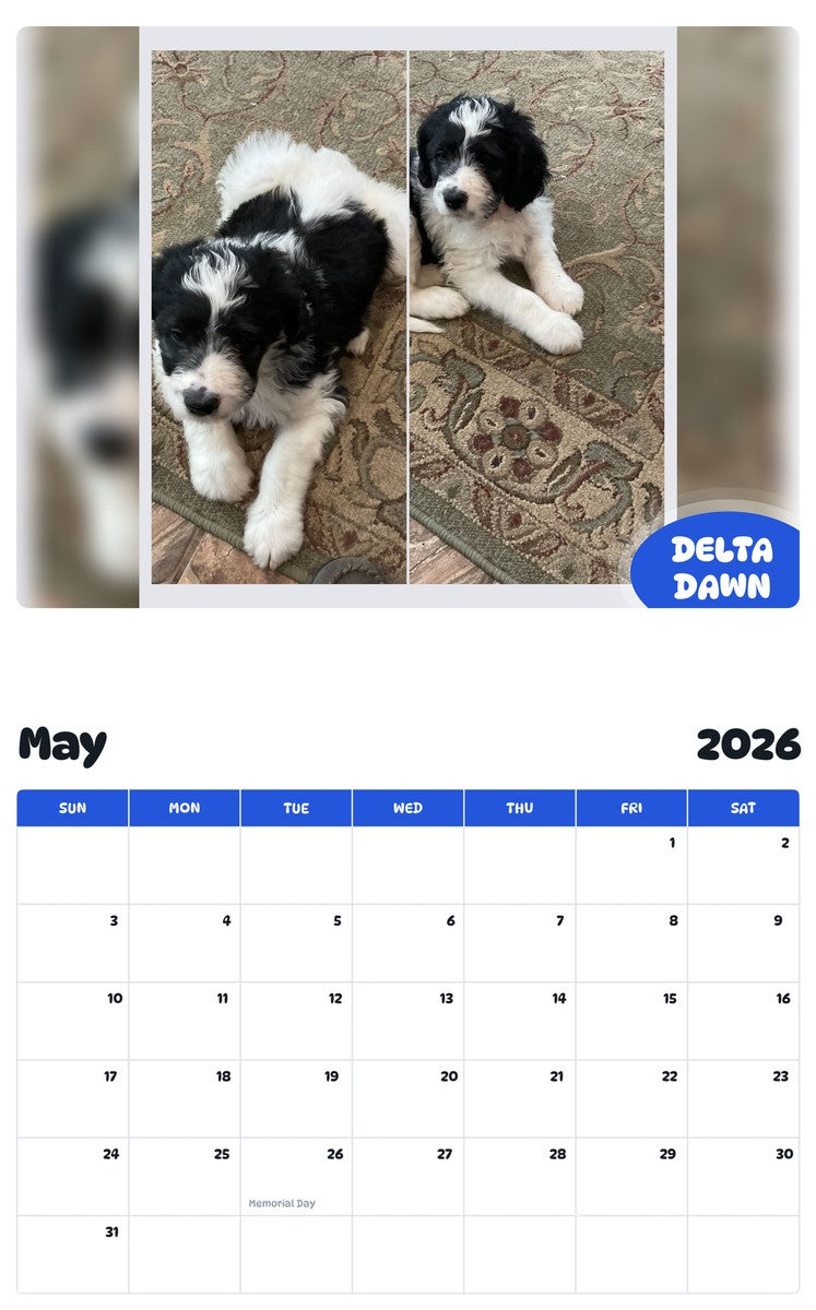 2026 - 2027 DELTA DAWN - Pawidols Pet Calendar