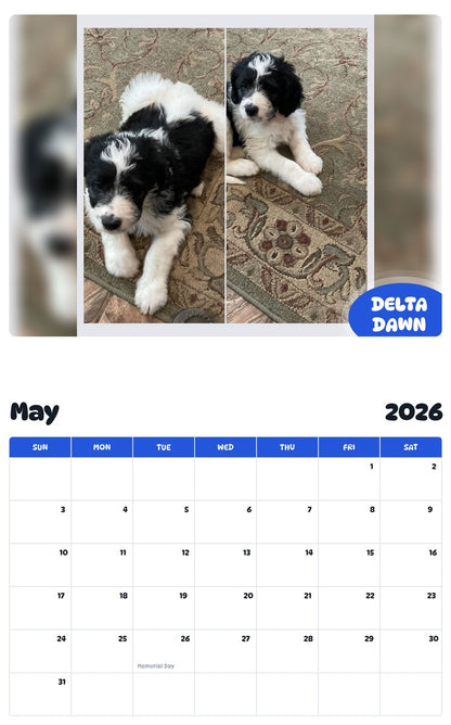 2026 - 2027 DELTA DAWN - Pawidols Pet Calendar