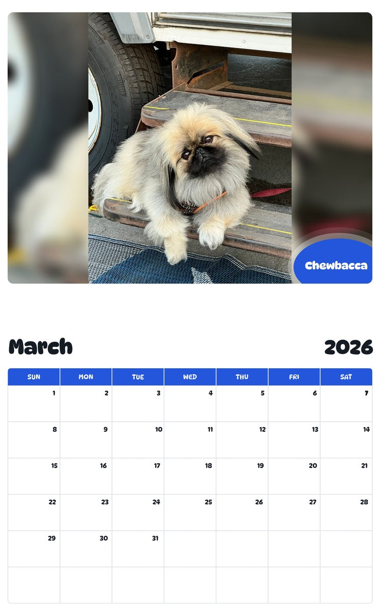 November 2025 - October 2026 Chewbacca - Pawidols Pet Calendar