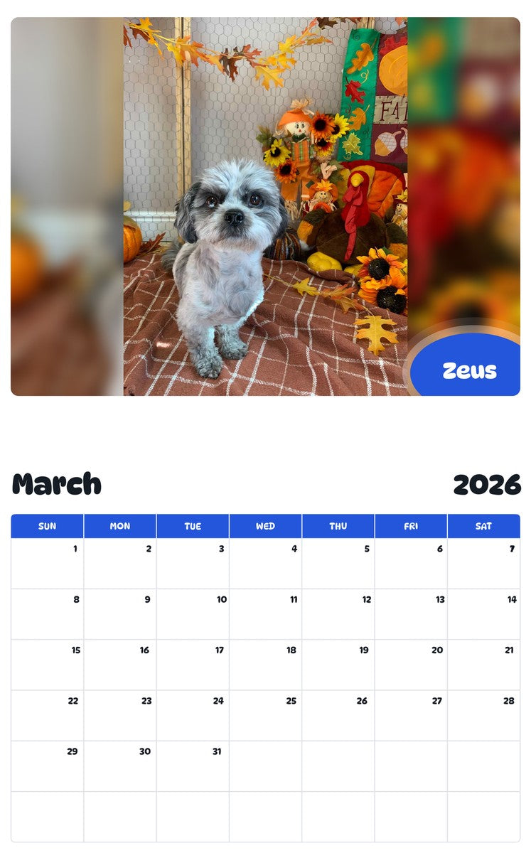 November 2025 - October 2026 Zeus - Pawidols Pet Calendar