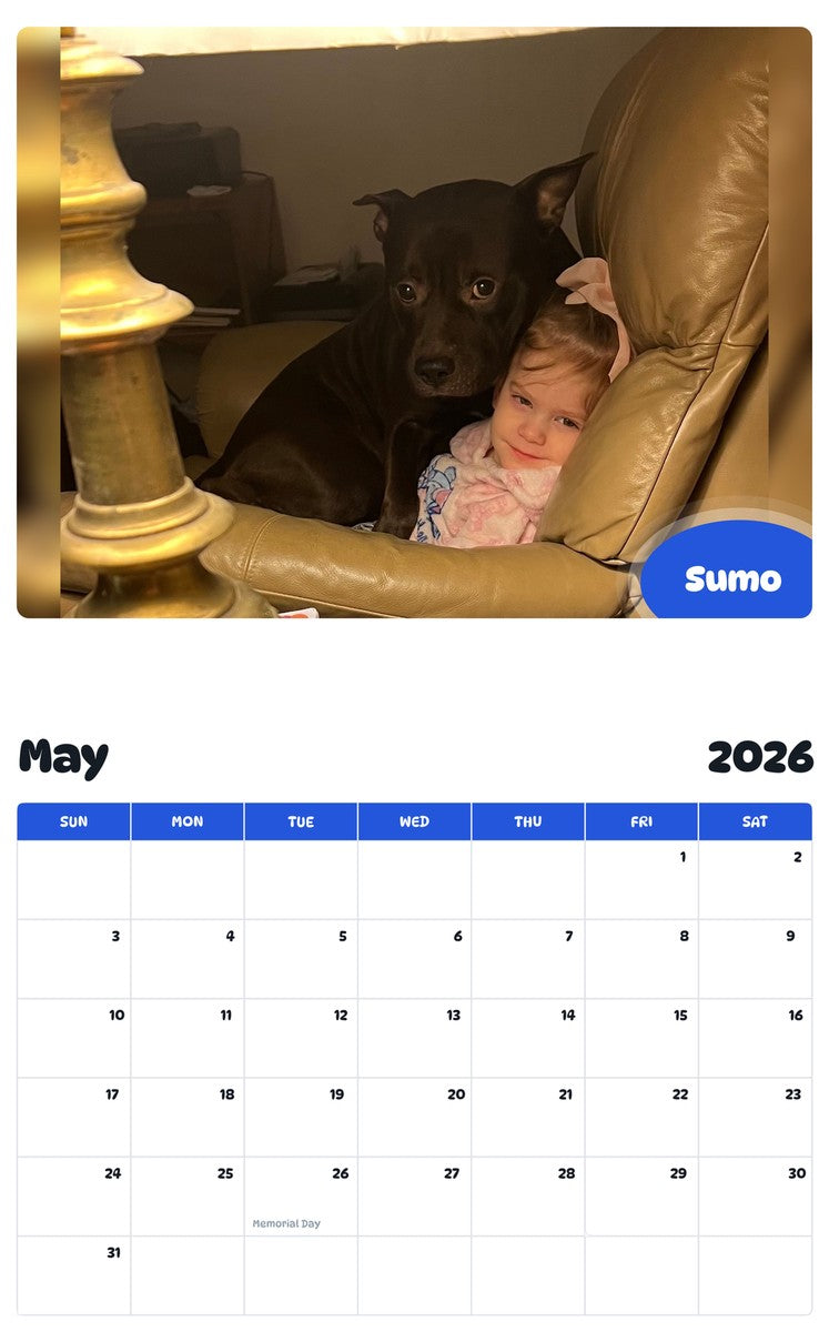 2026 - 2027 Sumo - Pawidols Pet Calendar