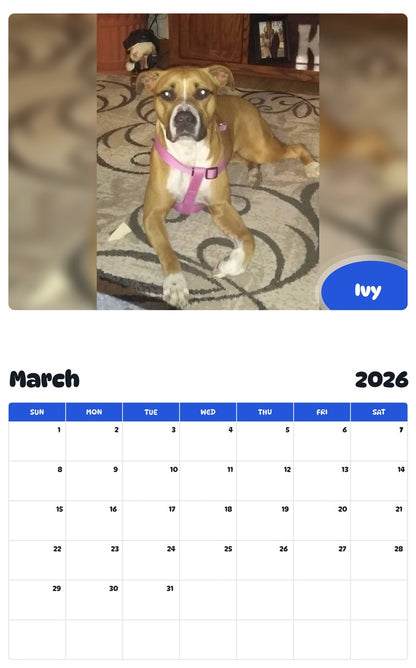 November 2025 - October 2026 Ivy - Pawidols Pet Calendar
