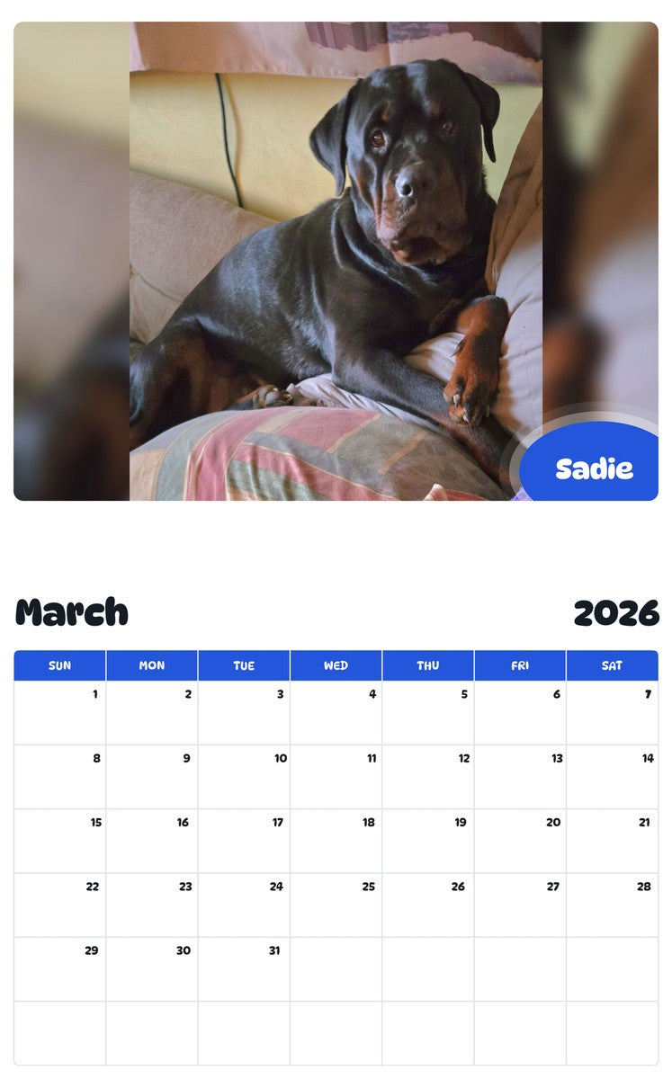 November 2025 - October 2026 Sadie - Pawidols Pet Calendar