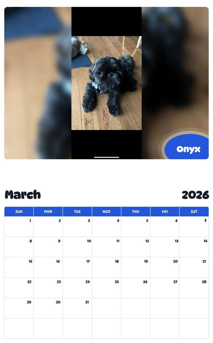 November 2025 - October 2026 Onyx - Pawidols Pet Calendar