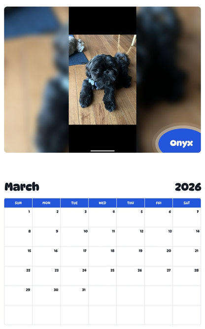 November 2025 - October 2026 Onyx - Pawidols Pet Calendar