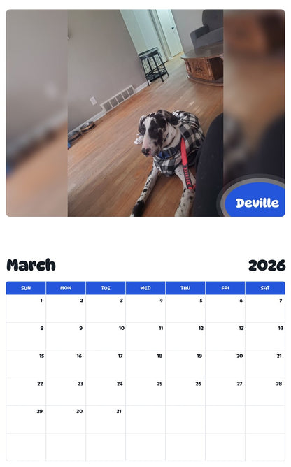 November 2025 - October 2026 Deville - Pawidols Pet Calendar