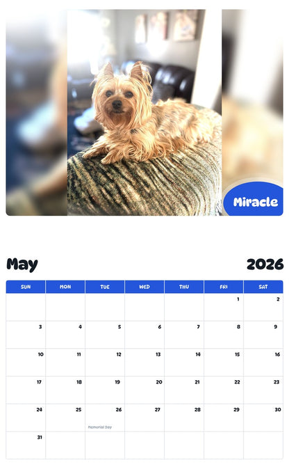 2026 - 2027 Miracle - Pawidols Pet Calendar