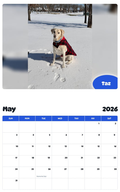 2026 - 2027 Taz - Pawidols Pet Calendar