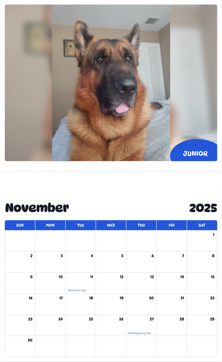 July 2025 - June 2026 JUNIOR - Pawidols Pet Calendar