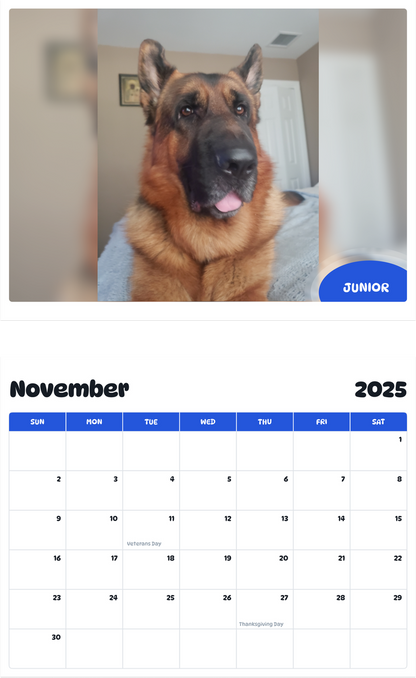 July 2025 - June 2026 JUNIOR - Pawidols Pet Calendar