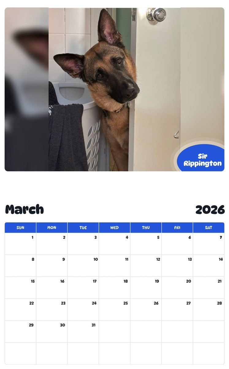 November 2025 - October 2026 Sir Rippington - Pawidols Pet Calendar