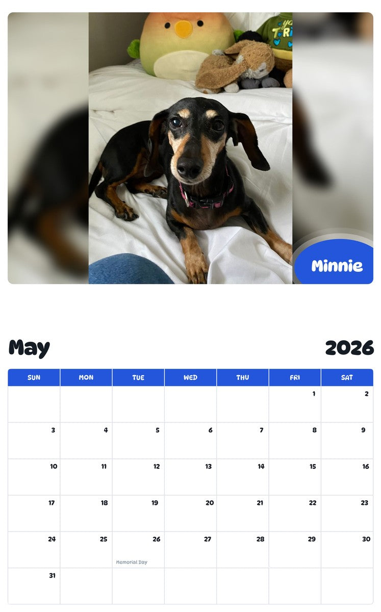 2026 - 2027 Minnie - Pawidols Pet Calendar